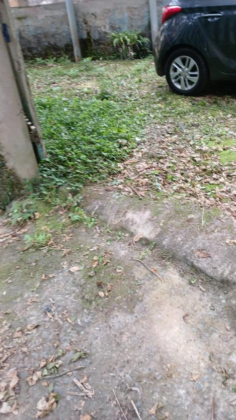 Chácara à venda com 2 quartos, 1500m² - Foto 23