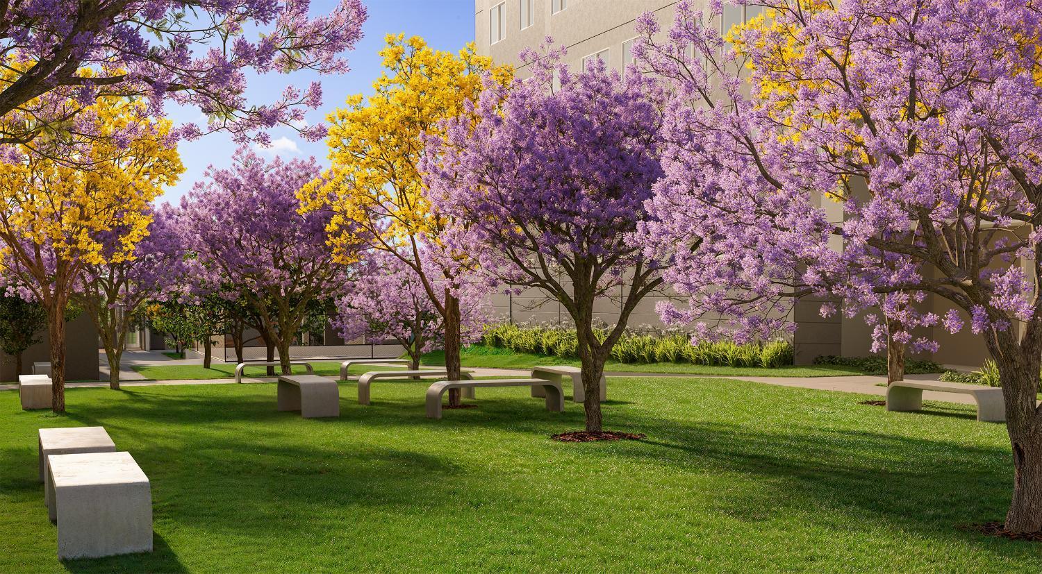 Apartamento, 2 quartos, 38 m² - Foto 11