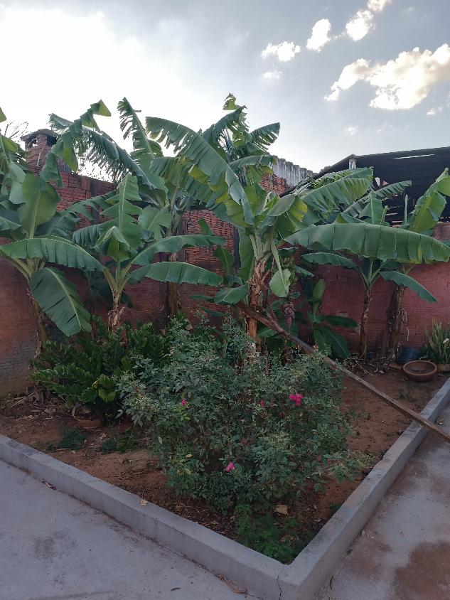 Casa, 2 quartos, 67 m² - Foto 4