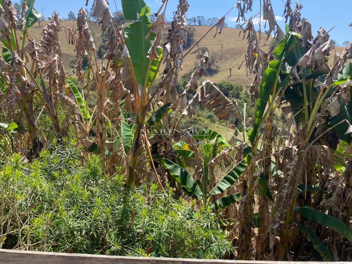 Chácara, 2 quartos, 2000 m² - Foto 2