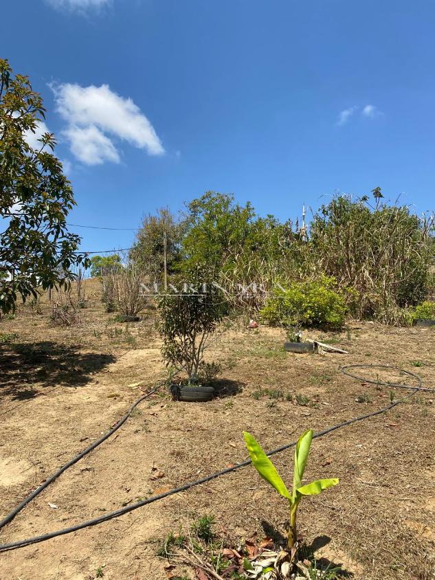 Chácara, 2 quartos, 2000 m² - Foto 15