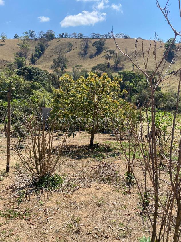 Chácara, 2 quartos, 2000 m² - Foto 13