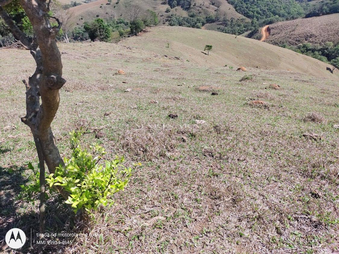 Sítio, 4 quartos, 9 hectares - Foto 3