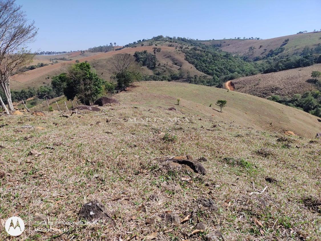 Sítio, 4 quartos, 9 hectares - Foto 12