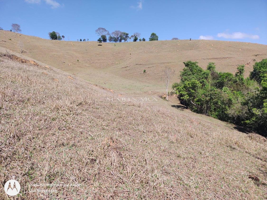 Sítio, 4 quartos, 9 hectares - Foto 14