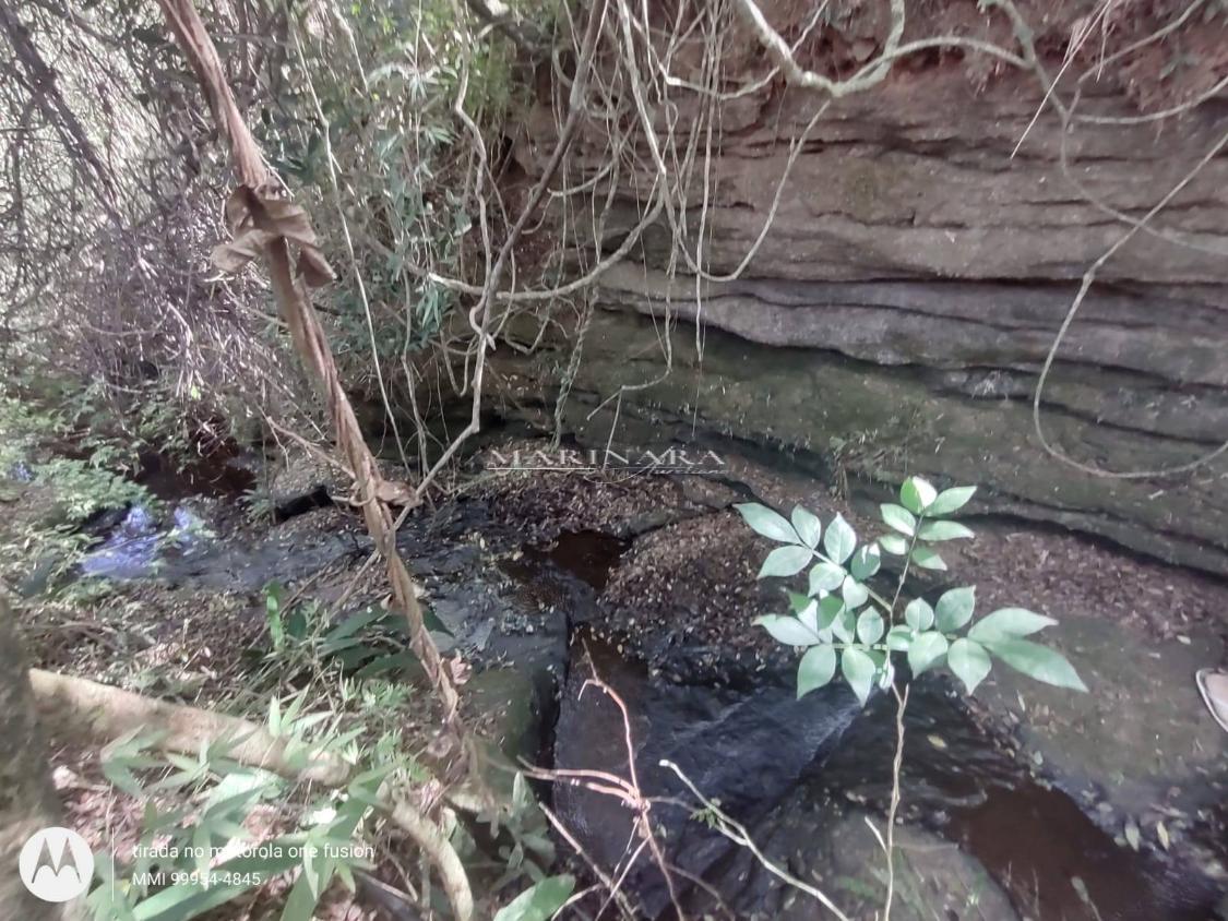 Sítio, 4 quartos, 9 hectares - Foto 9