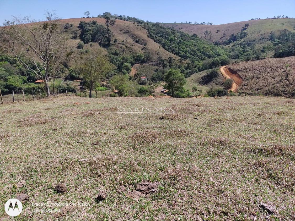 Sítio, 4 quartos, 9 hectares - Foto 10