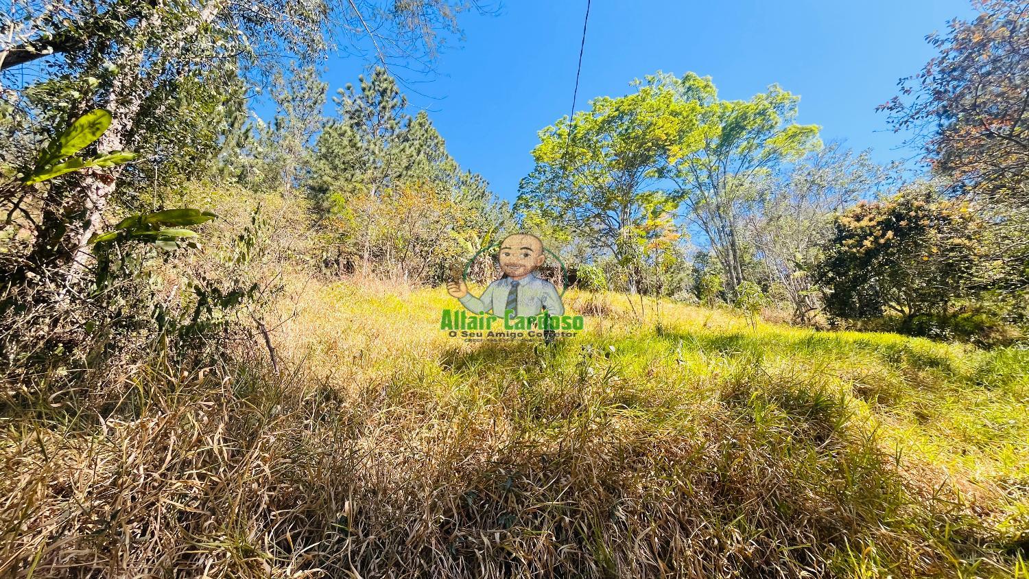 Terreno à venda, 5000m² - Foto 7