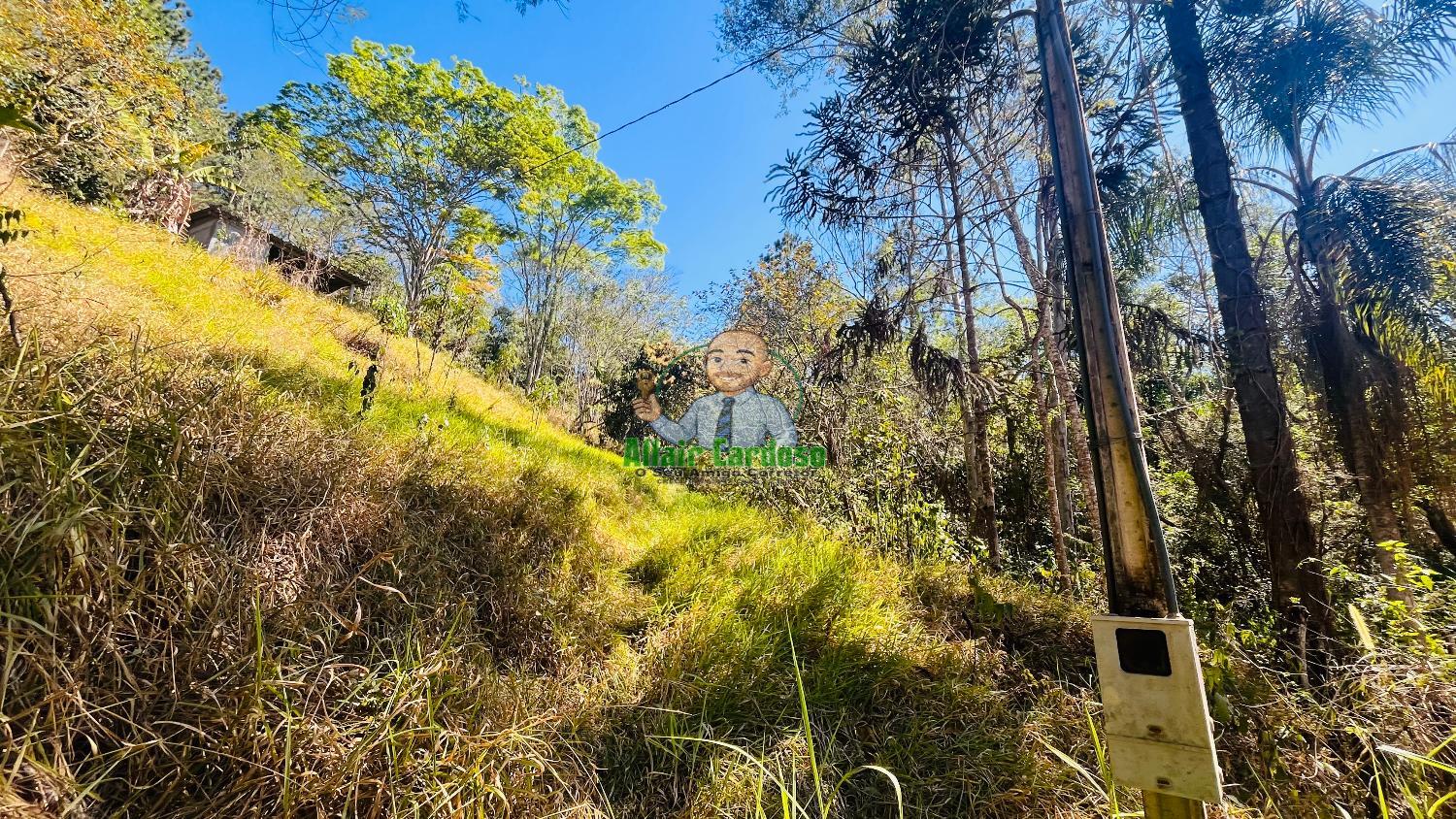 Terreno à venda, 5000m² - Foto 5