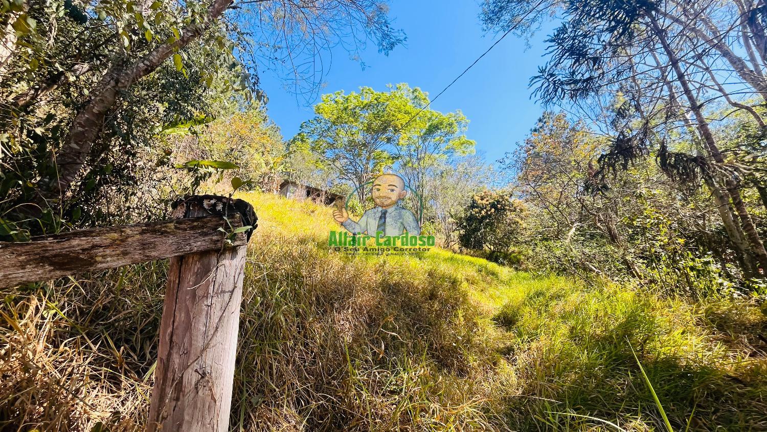 Terreno à venda, 5000m² - Foto 4