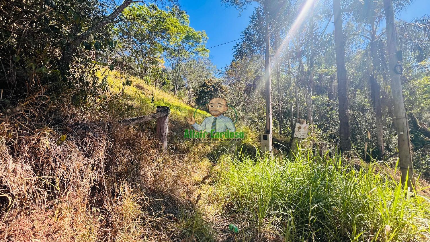Terreno à venda, 5000m² - Foto 2