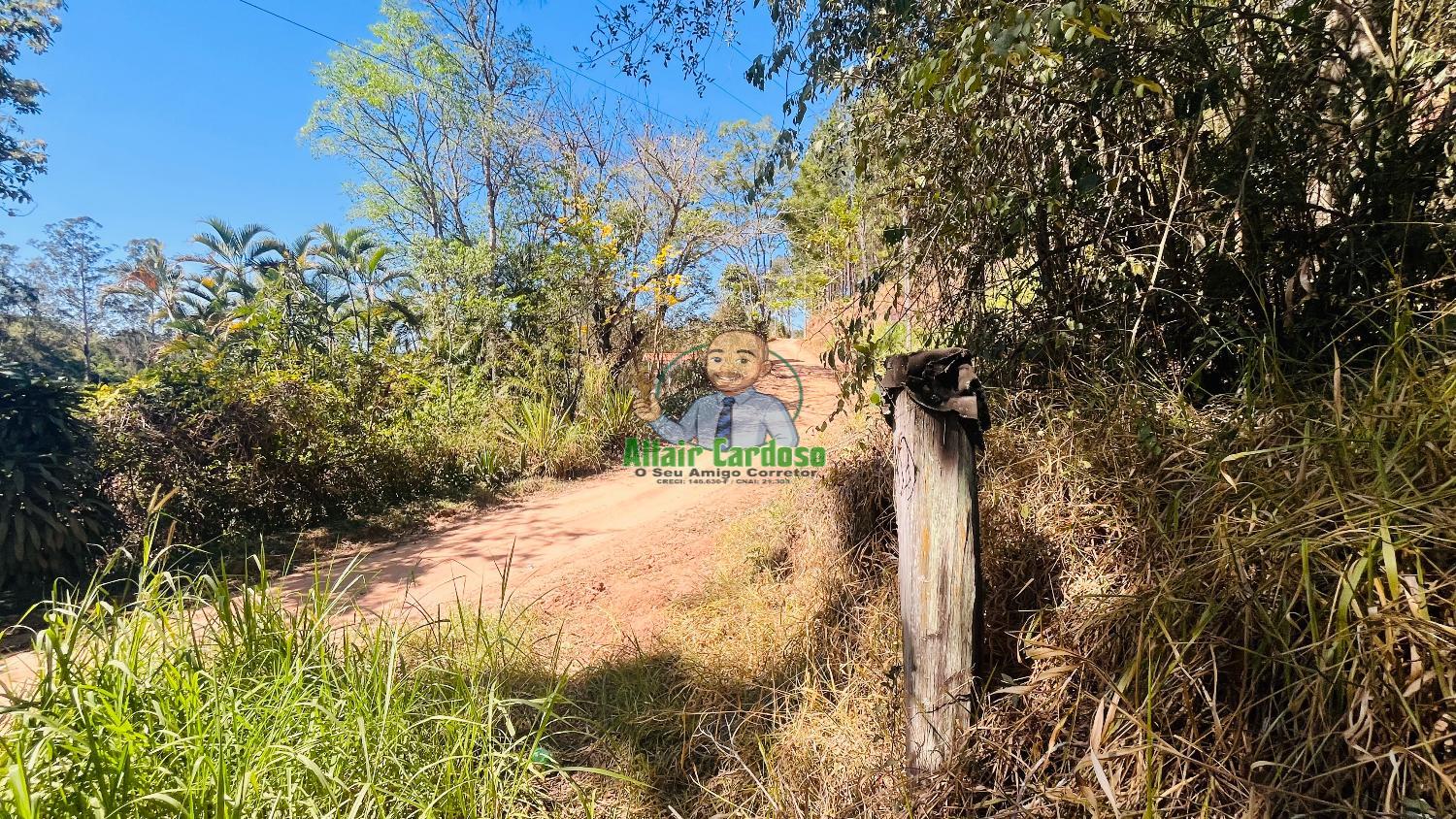 Terreno à venda, 5000m² - Foto 9