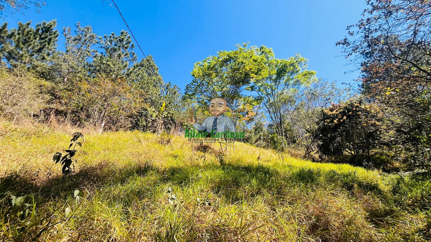 Terreno à venda, 5000m² - Foto 10