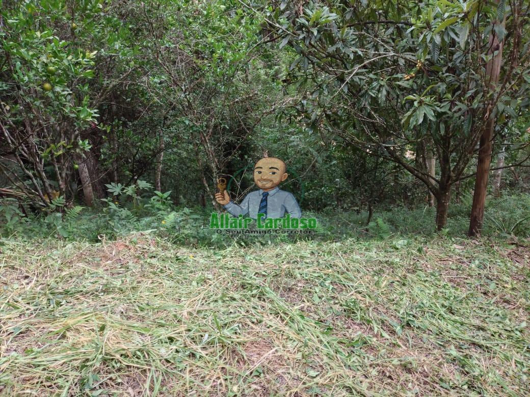 Terreno à venda, 5000m² - Foto 3