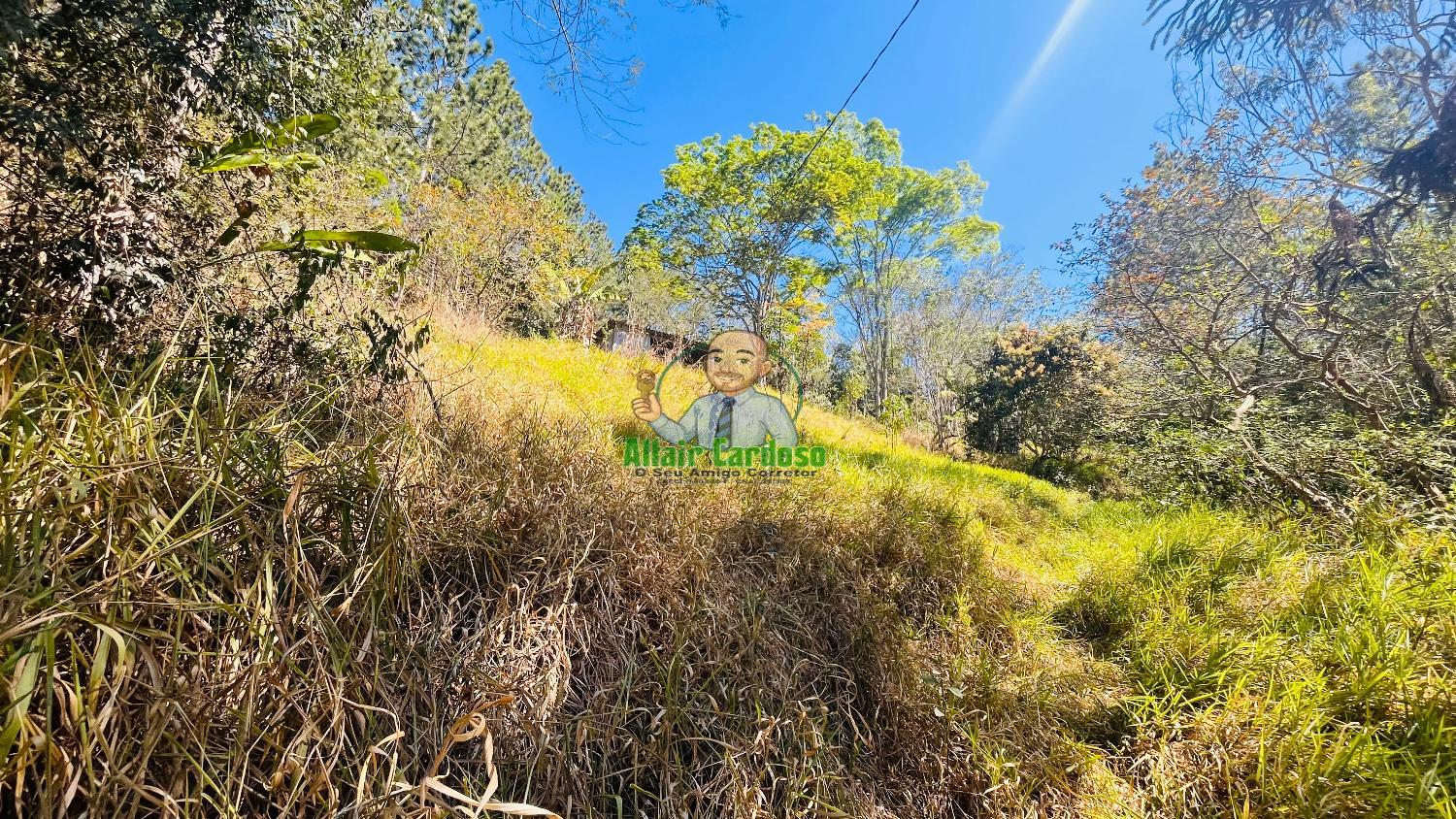 Terreno à venda, 5000m² - Foto 6