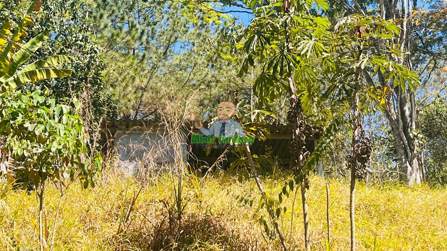 Terreno à venda, 5000m² - Foto 12