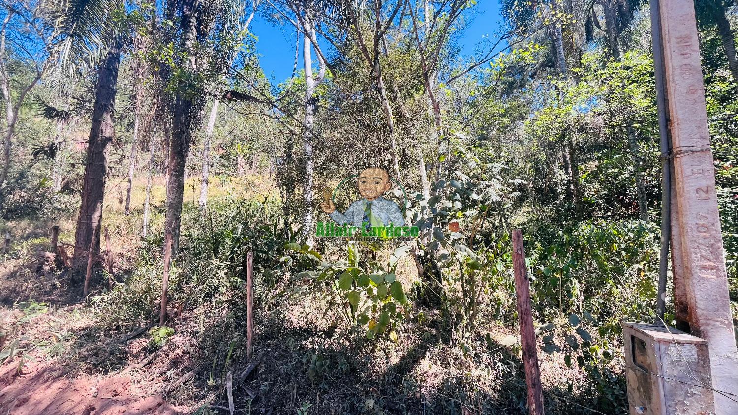 Terreno à venda, 5000m² - Foto 14