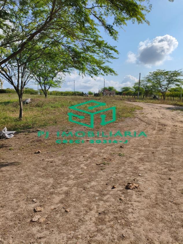 Sítio, 3 quartos, 2 hectares - Foto 4