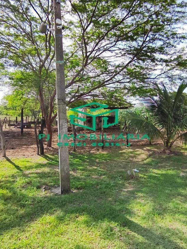 Sítio, 3 quartos, 2 hectares - Foto 2