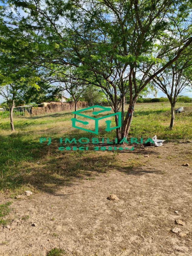 Sítio, 3 quartos, 2 hectares - Foto 5