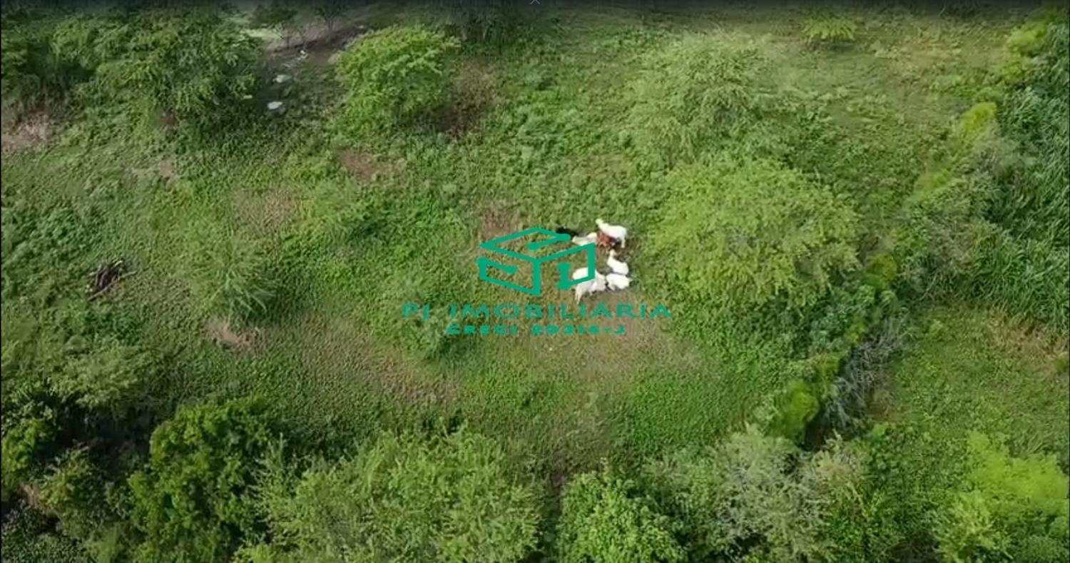 Sítio, 3 quartos, 2 hectares - Foto 10