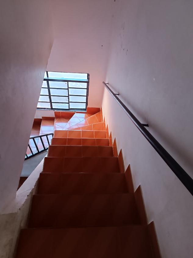 Casa, 6 quartos, 178 m² - Foto 21