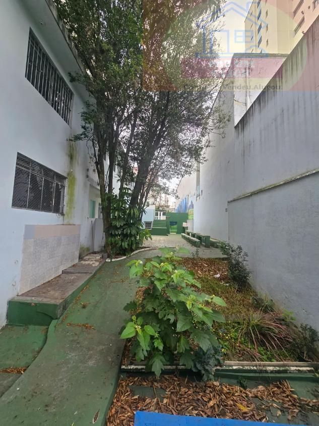 Casa, 5 quartos, 550 m² - Foto 14