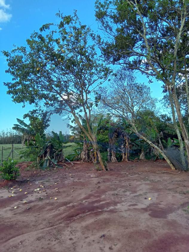 Casa, 2 quartos, 60 m² - Foto 9