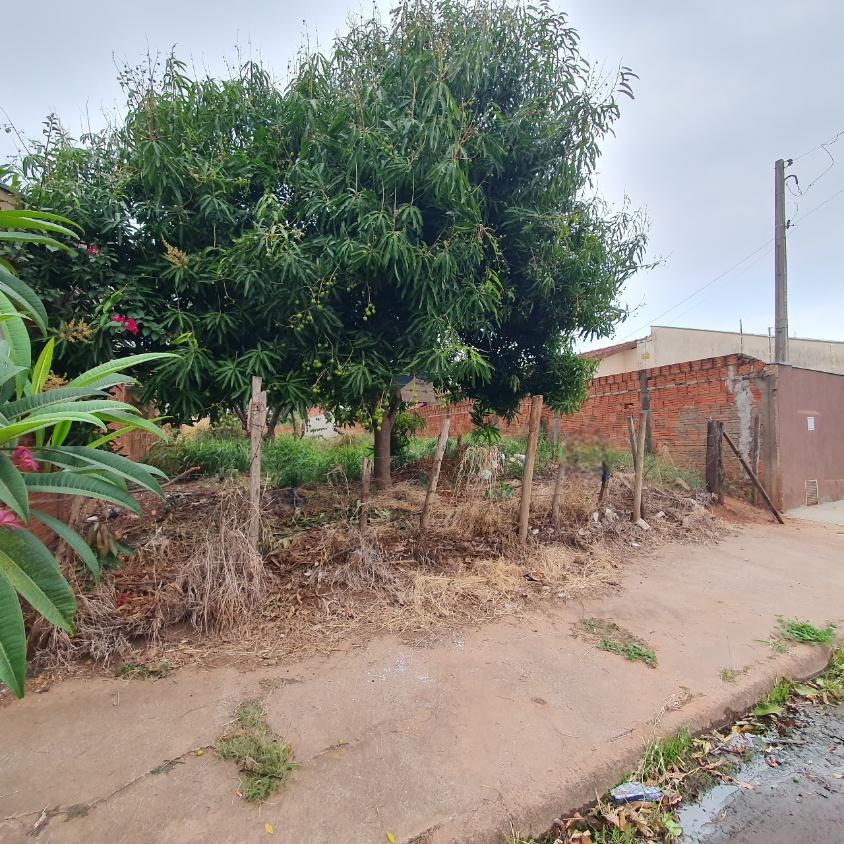 Terreno, 342 m² - Foto 2