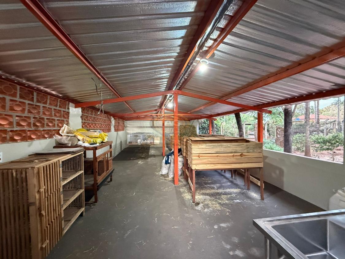 Chácara, 3 quartos, 1079 m² - Foto 3