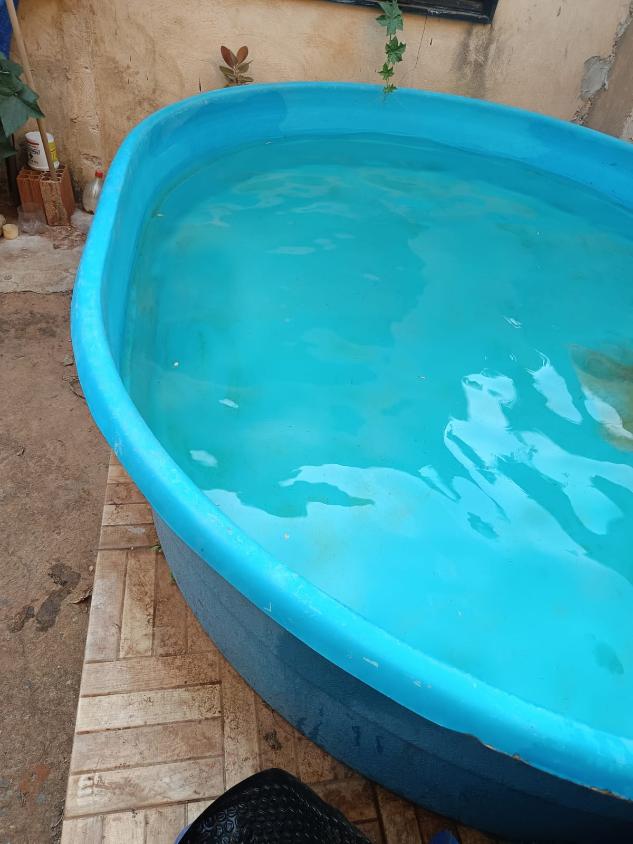 Casa, 2 quartos - Foto 13