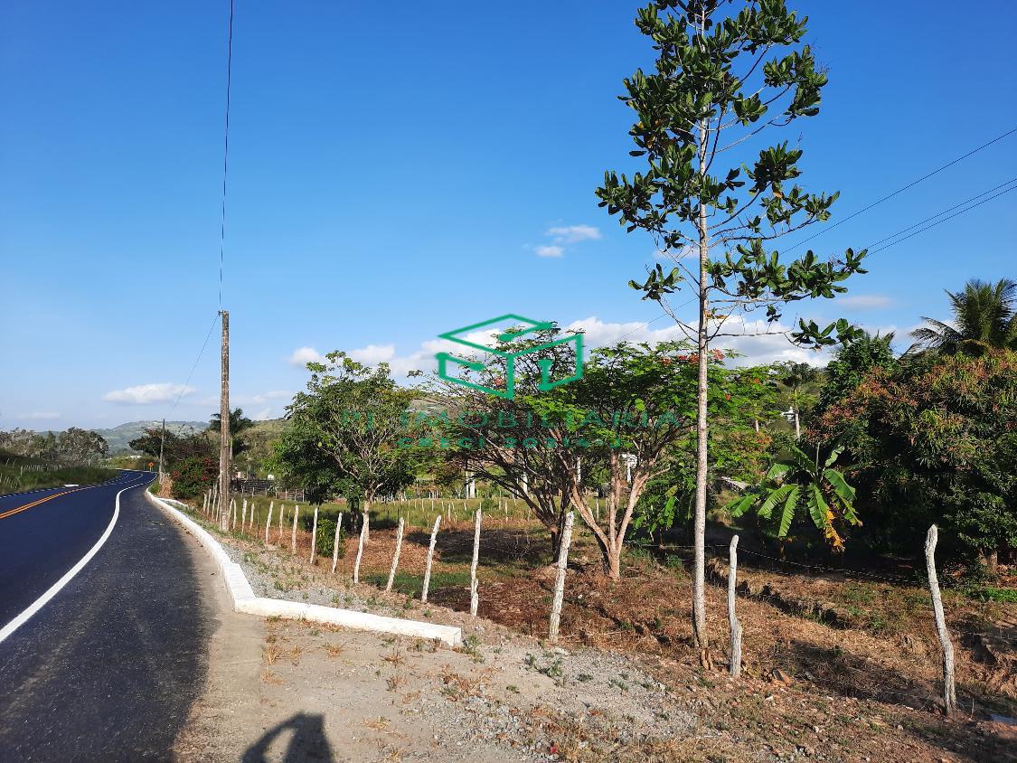 Sítio, 2 quartos, 5 hectares - Foto 18