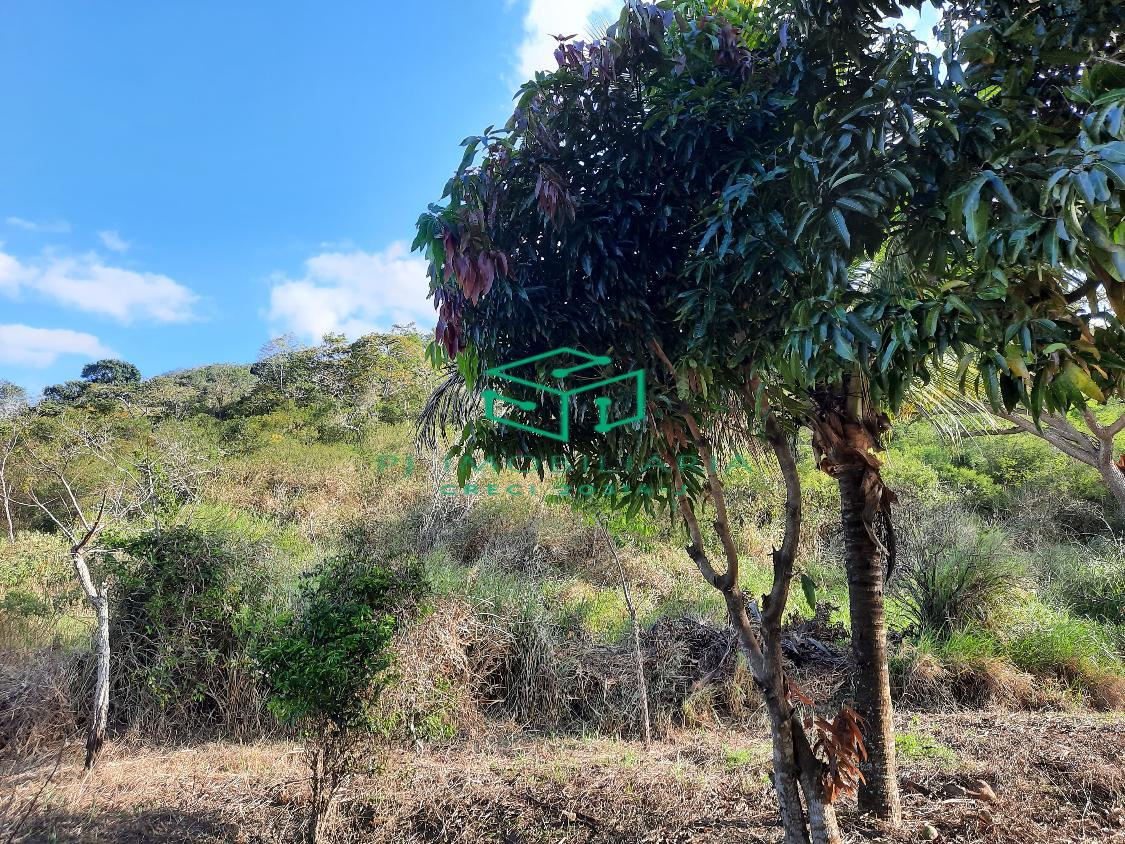 Sítio, 2 quartos, 5 hectares - Foto 8