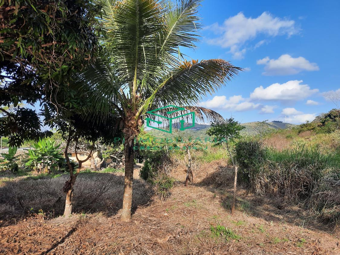 Sítio, 2 quartos, 5 hectares - Foto 2