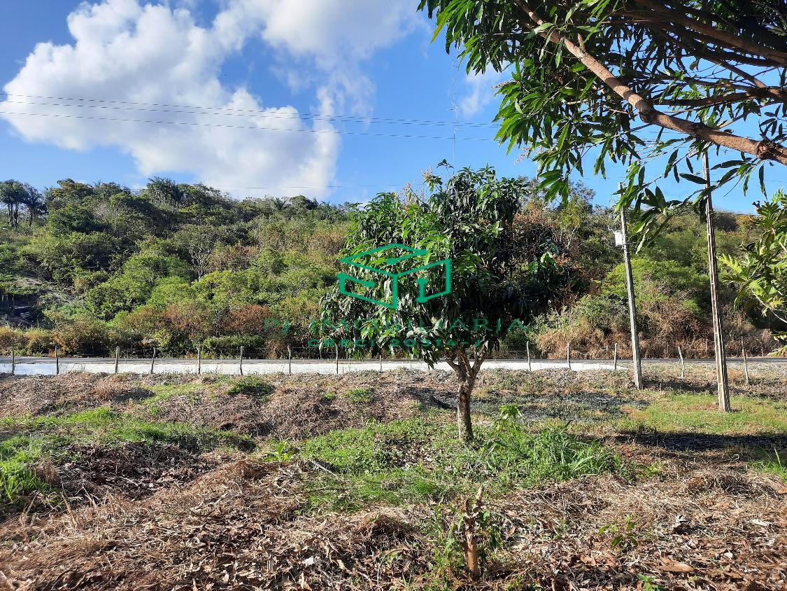 Sítio, 2 quartos, 5 hectares - Foto 10