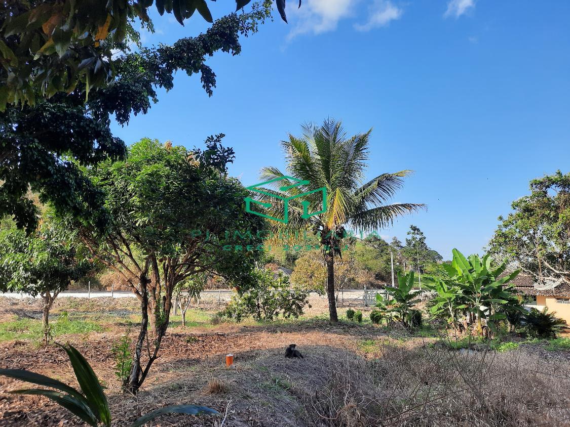 Sítio, 2 quartos, 5 hectares - Foto 4