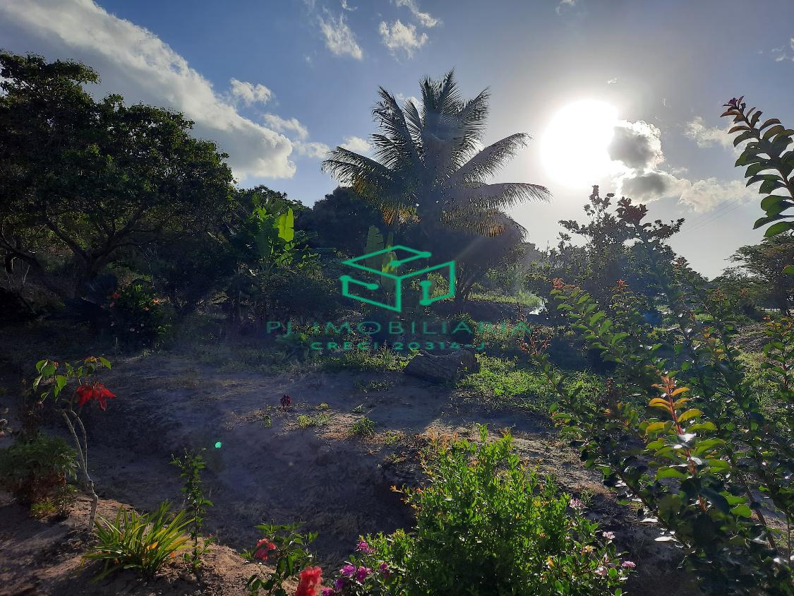 Sítio, 2 quartos, 5 hectares - Foto 16