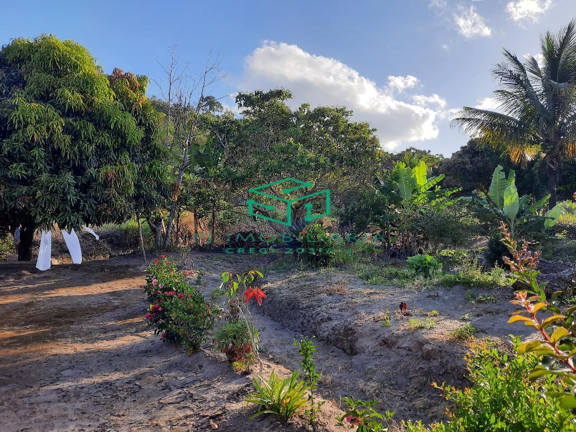 Sítio, 2 quartos, 5 hectares - Foto 15