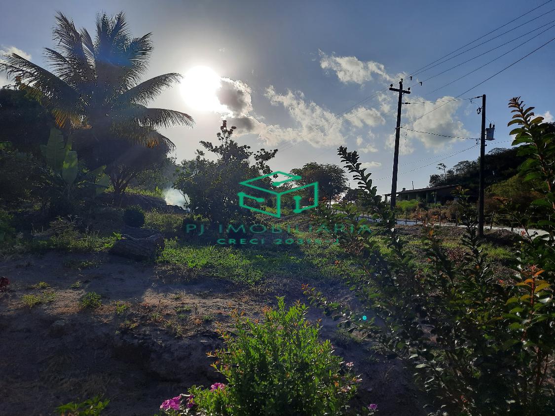 Sítio, 2 quartos, 5 hectares - Foto 13