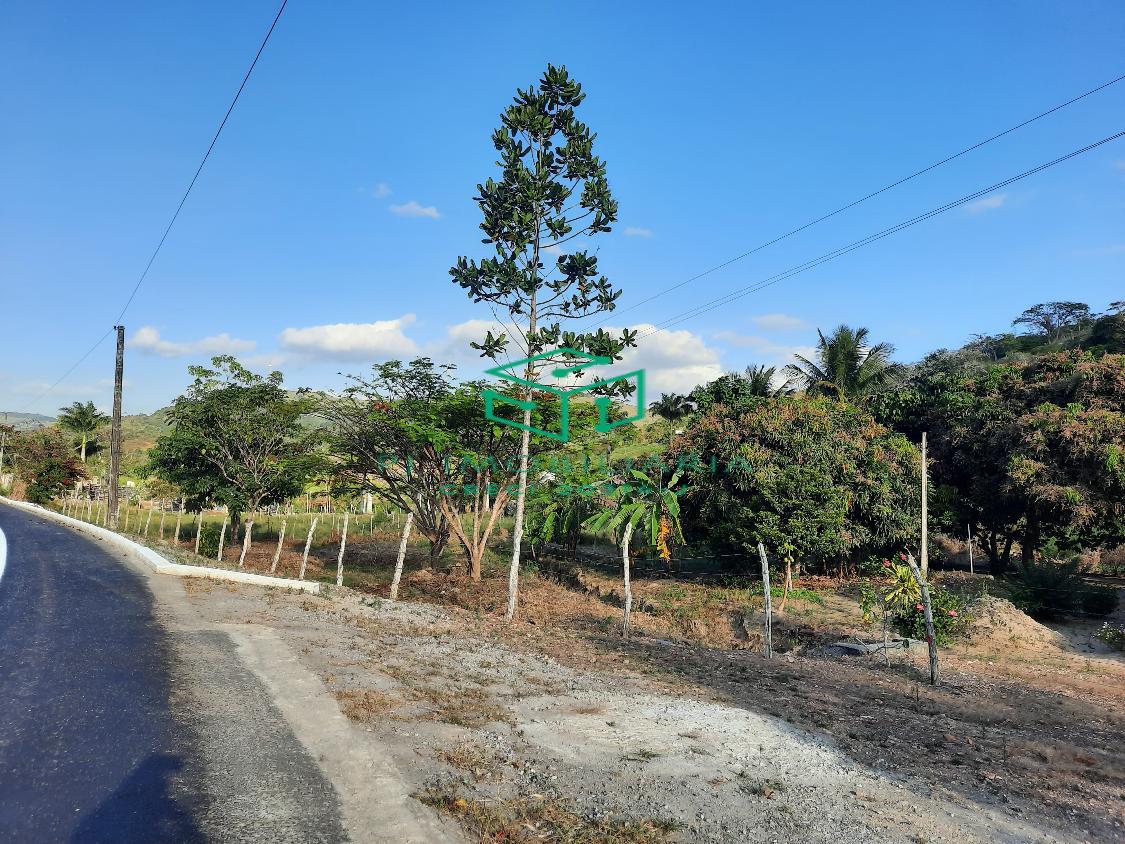 Sítio, 2 quartos, 5 hectares - Foto 17