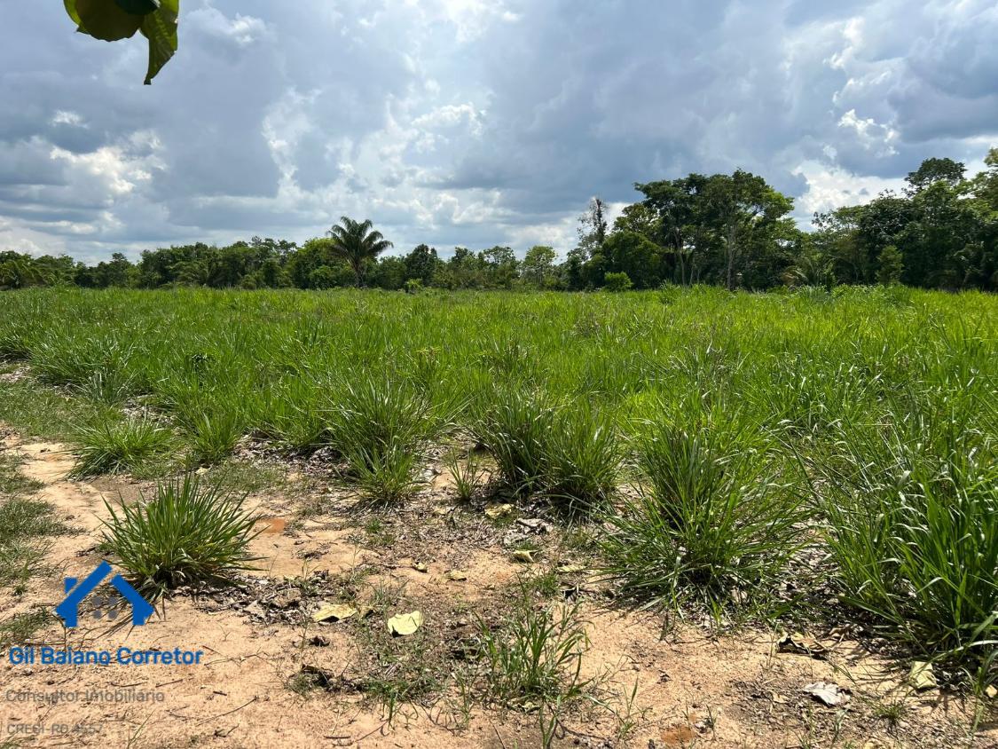 Sítio, 2 quartos - Foto 3