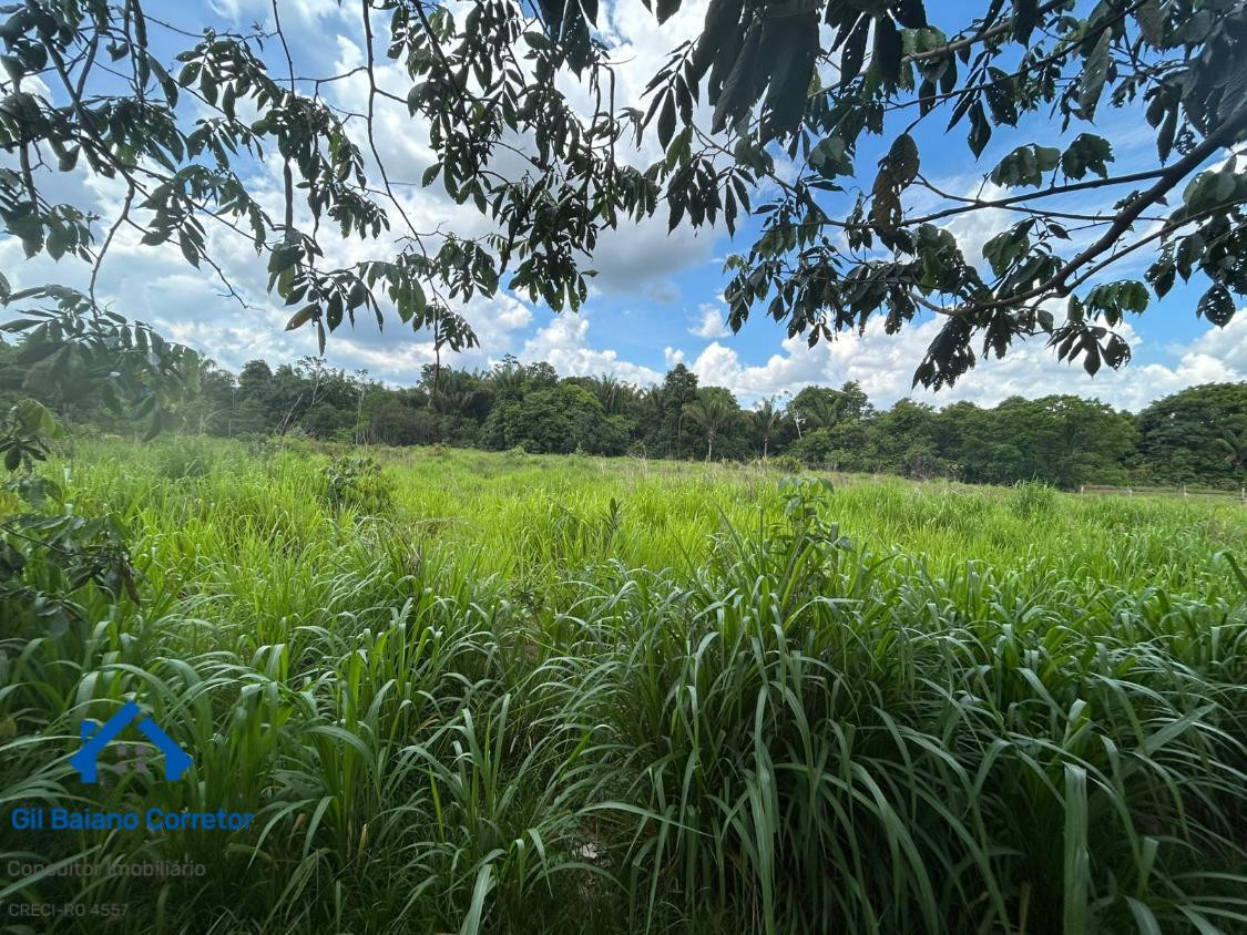 Sítio, 2 quartos - Foto 5