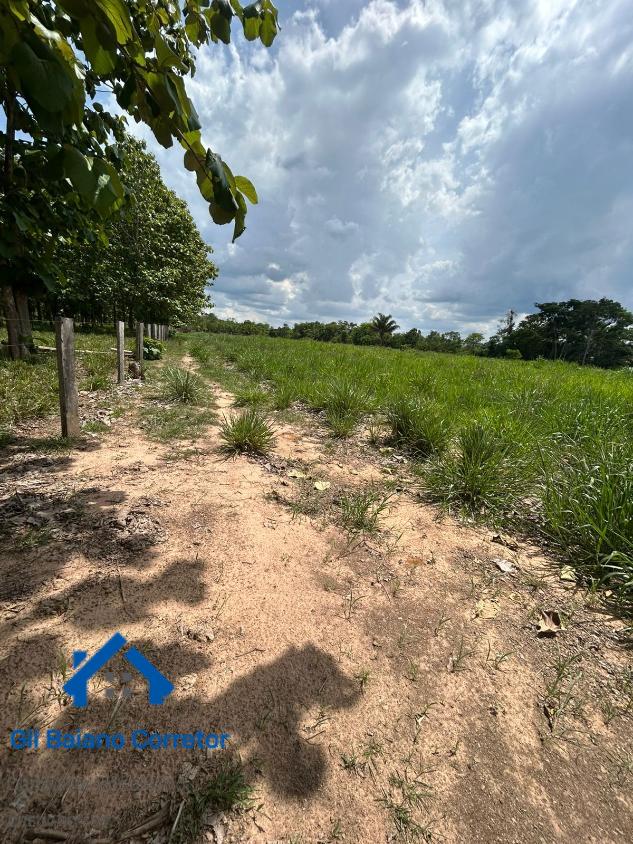 Sítio, 2 quartos - Foto 4