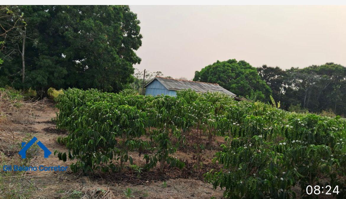 Sítio, 2 quartos - Foto 1