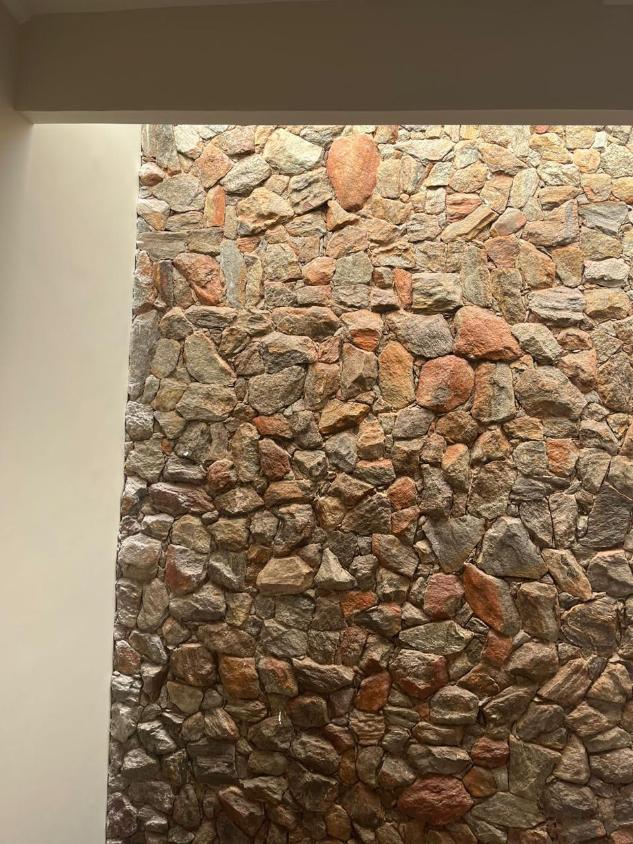 Casa, 4 quartos, 450 m² - Foto 20