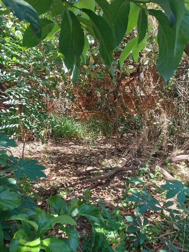 Casa, 2 quartos, 120 m² - Foto 16