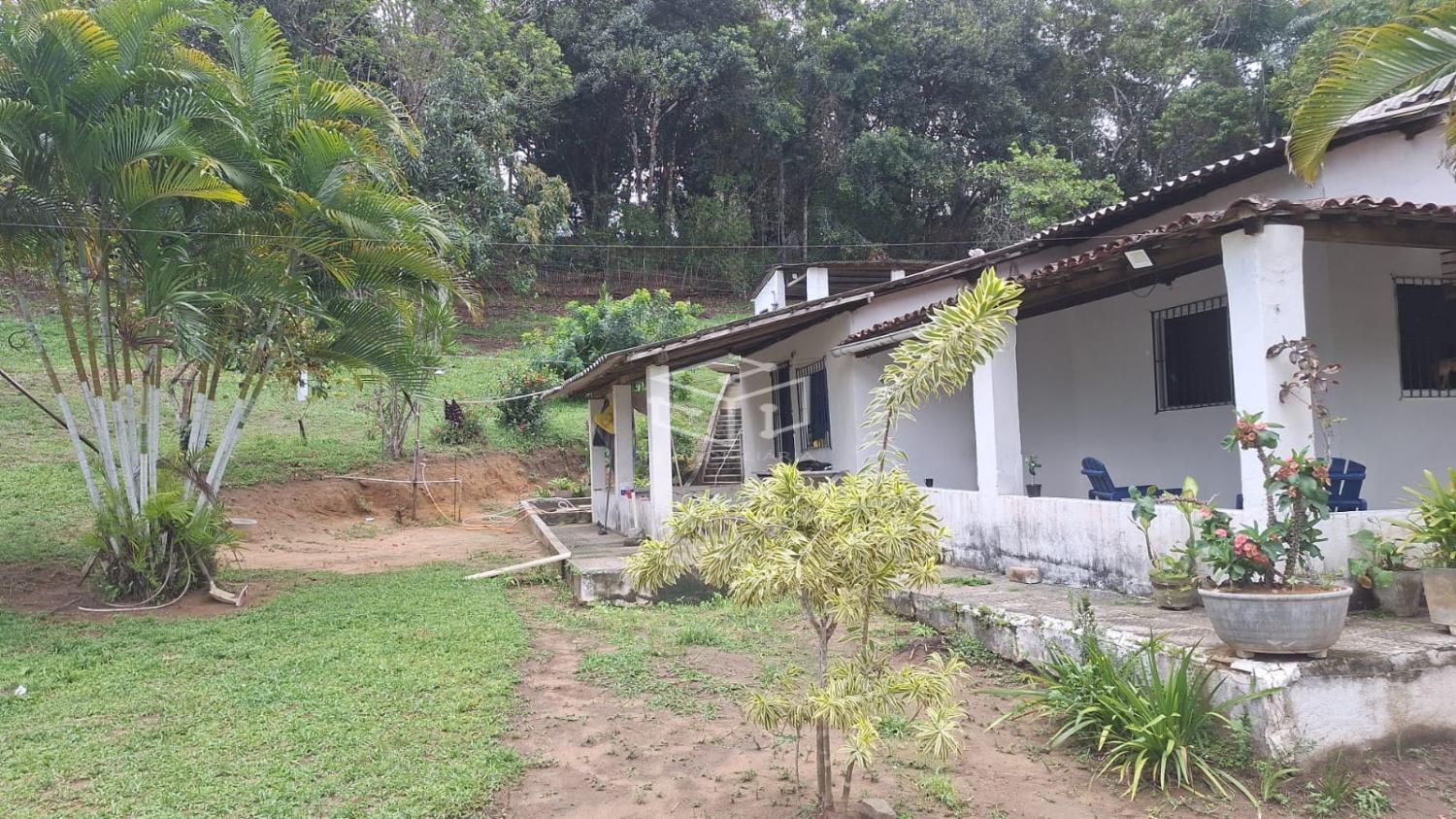 Sítio, 3 quartos, 5000 m² - Foto 4