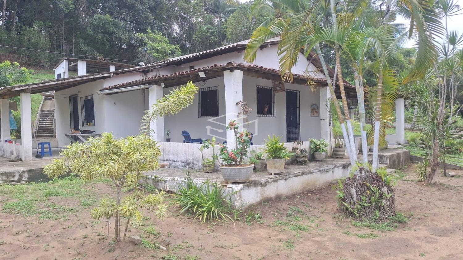 Sítio, 3 quartos, 5000 m² - Foto 2