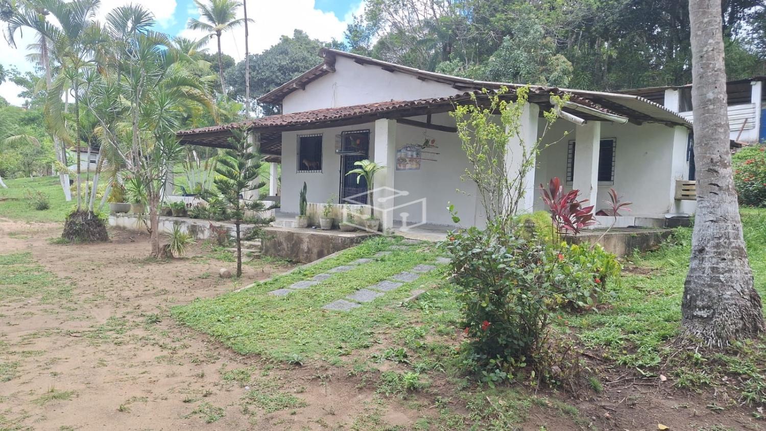 Sítio, 3 quartos, 5000 m² - Foto 1