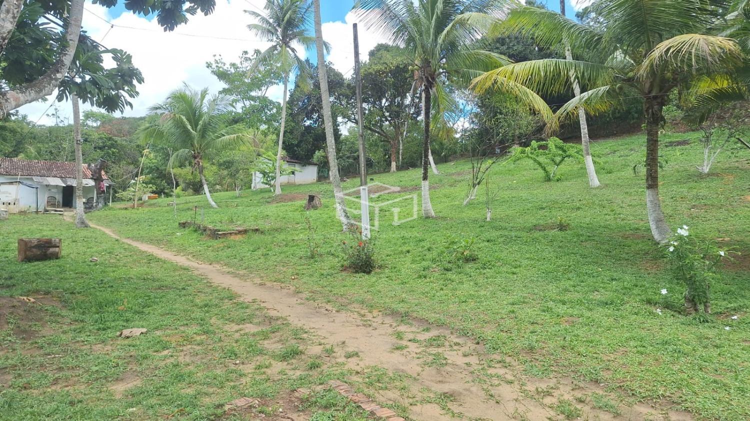 Sítio, 3 quartos, 5000 m² - Foto 7